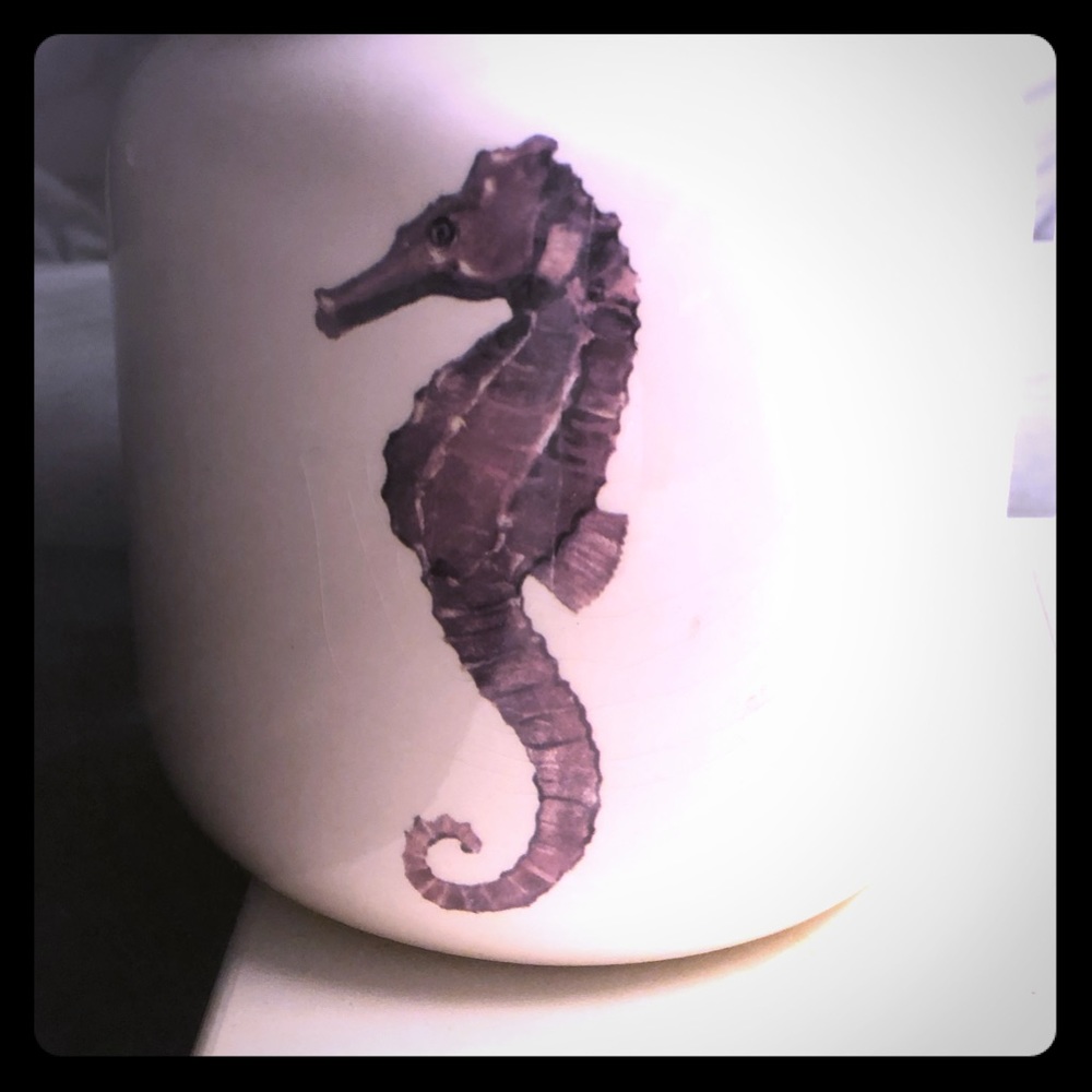 Cookie Jar /Seahorse